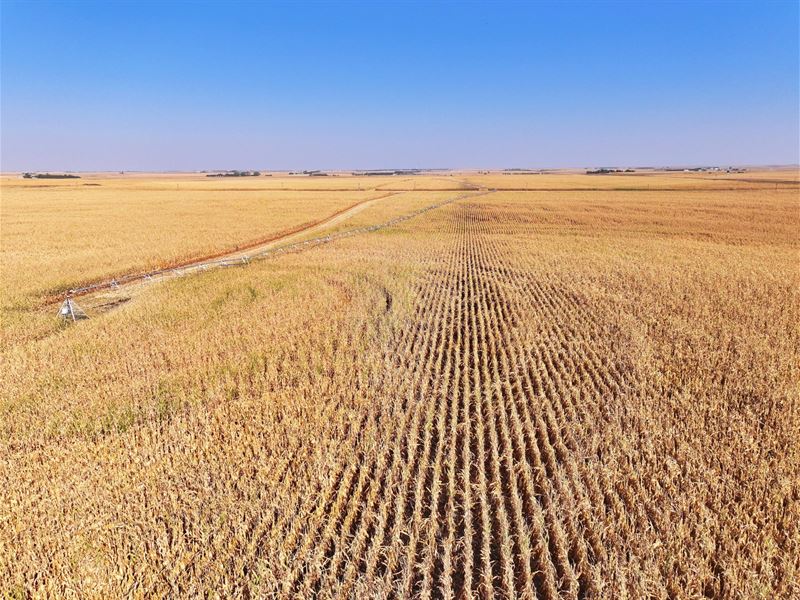 483 Acres, Southwest Lincoln County : Wallace : Lincoln County : Nebraska