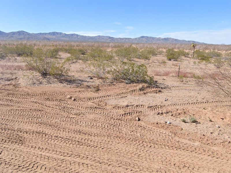 Invest in 1 Acre Arizona Paradise : Meadview : Mohave County : Arizona