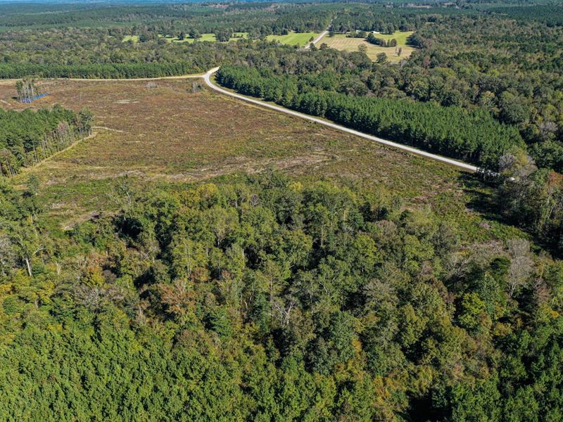 Nci 156 Hickory Nut : Little Rock : Newton County : Mississippi