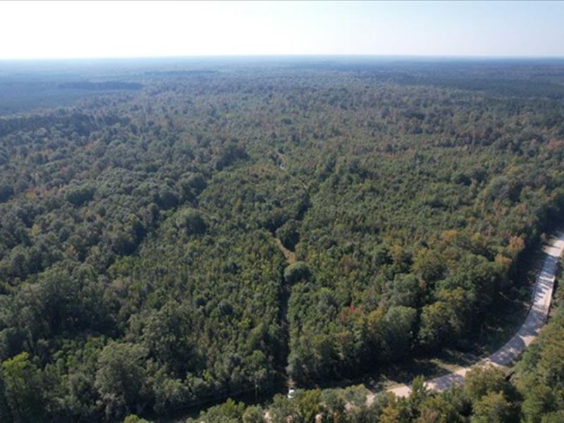 268 Acres in Caldwell Parish in Gra : Grayson : Caldwell Parish : Louisiana