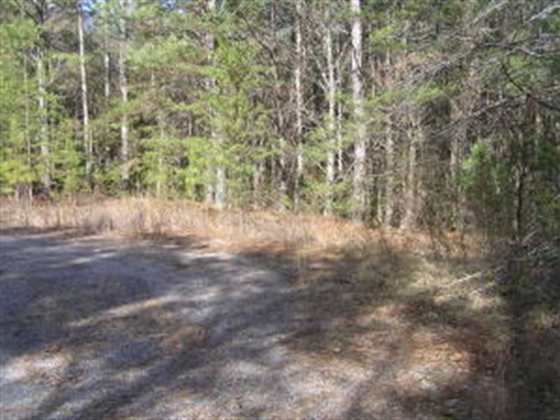 2 Lots More Available : Spencer : Van Buren County : Tennessee