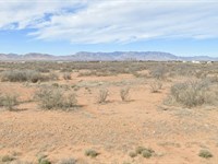 Create Your Own Vision, $100/Month : Willcox : Cochise County : Arizona