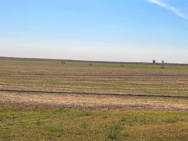 163 Acres, Box Butte County Pivot : Alliance : Box Butte County : Nebraska