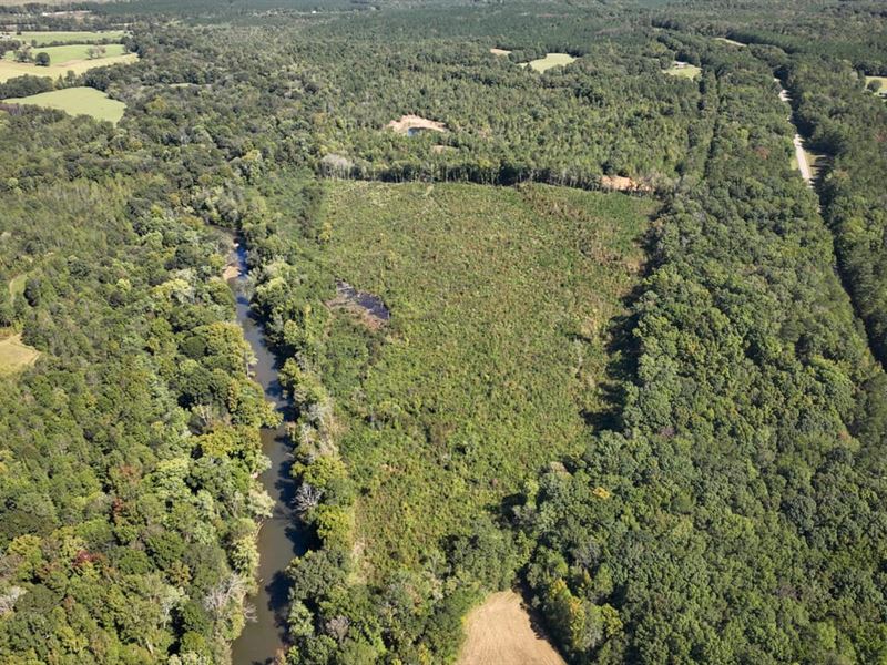 Tishomingo County, 47.10 Acres : Tishomingo : Tishomingo County : Mississippi