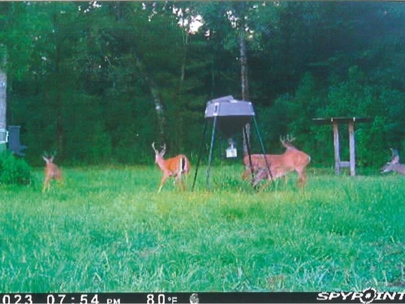 Incredible 117.13 Acre Hunting/Recr : McComb : Pike County : Mississippi