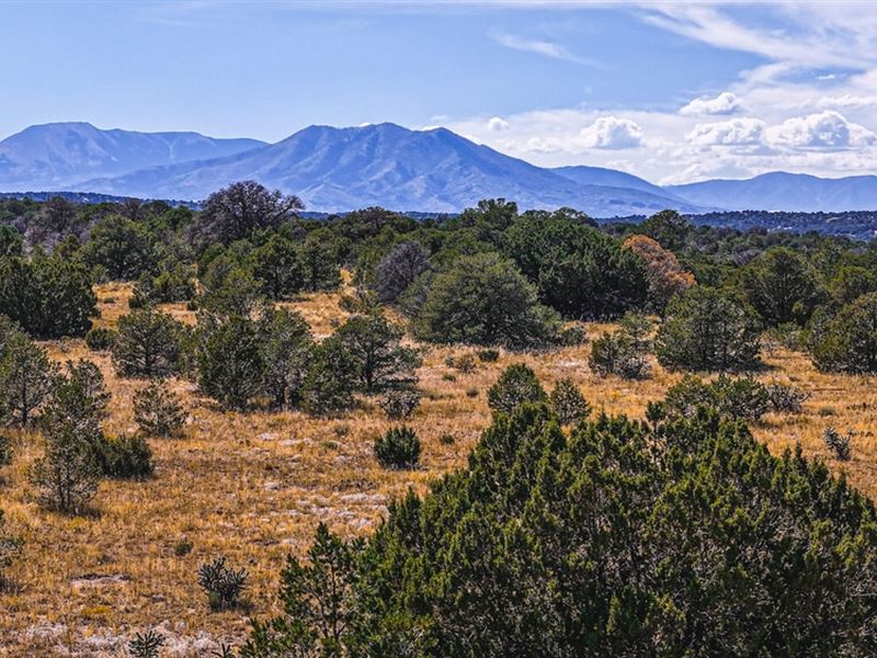 Coyote Lake, Walsenburg, Co 810 : Walsenburg : Huerfano County : Colorado