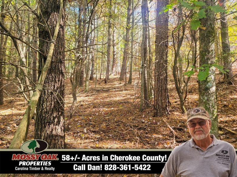 58.61 AC Unrestricted, Paved Road : Murphy : Cherokee County : North Carolina