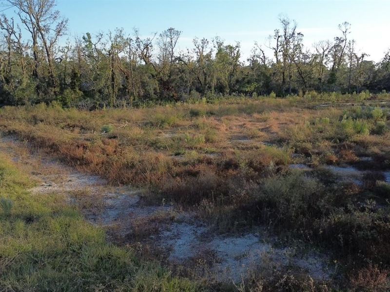 Leisure Retreat Acre : Keaton Beach : Taylor County : Florida