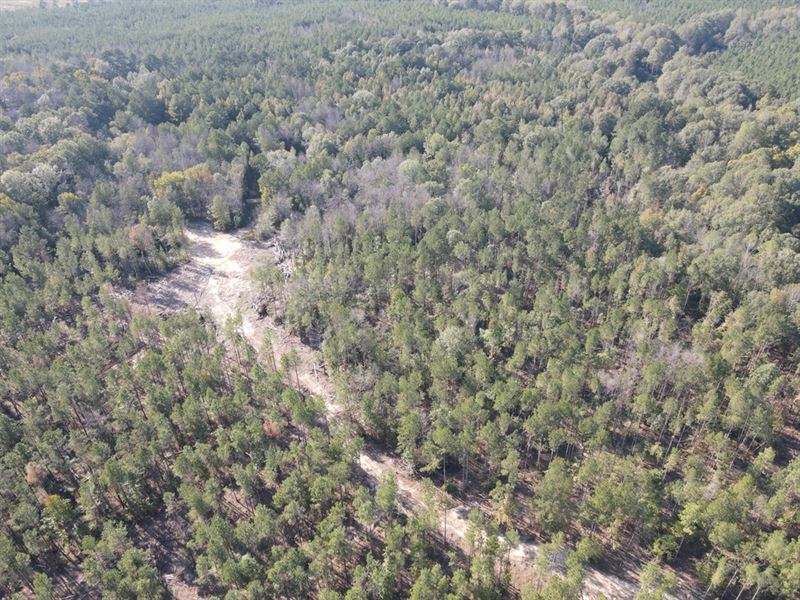 222 Acres in Copiah County, MS : Georgetown : Copiah County : Mississippi