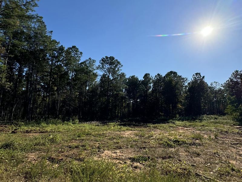 3 Acres Unrestricted Lee Road 2 : Salem : Lee County : Alabama