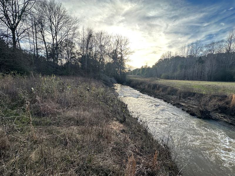 Valley Creek Tract, 105 Acres : Valley Grande : Dallas County : Alabama