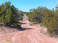$129 Down 1.15 Acre, We Have More : Sanders : Apache County : Arizona