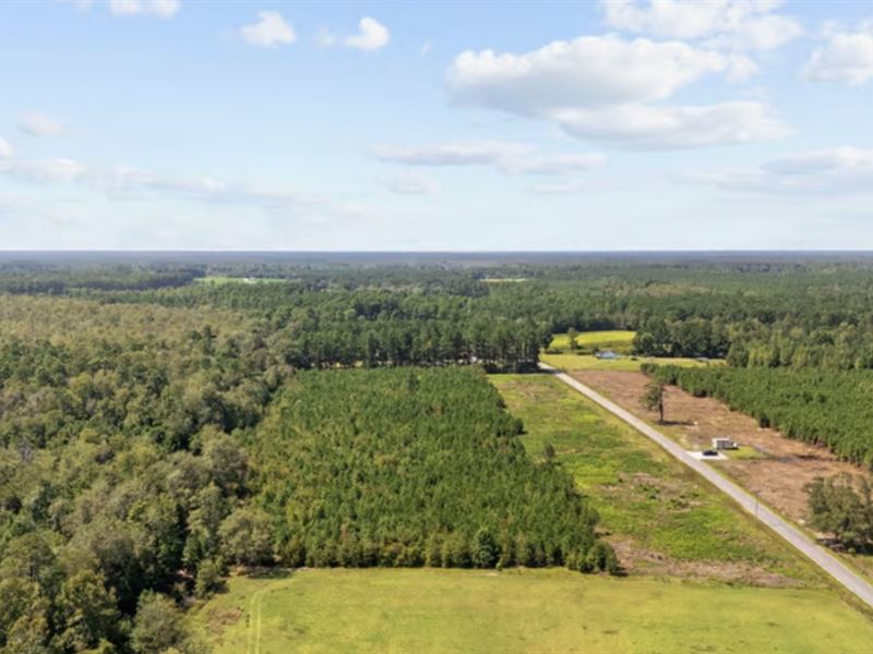 1.5 Acres Horry County, SC : Nichols : Horry County : South Carolina