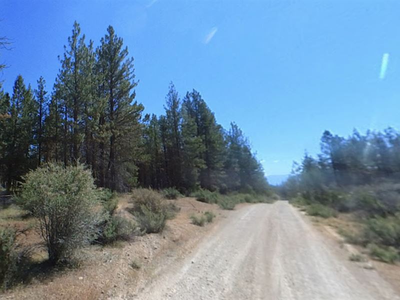 Get Your Land Before The Election : Klamath Falls : Klamath County : Oregon