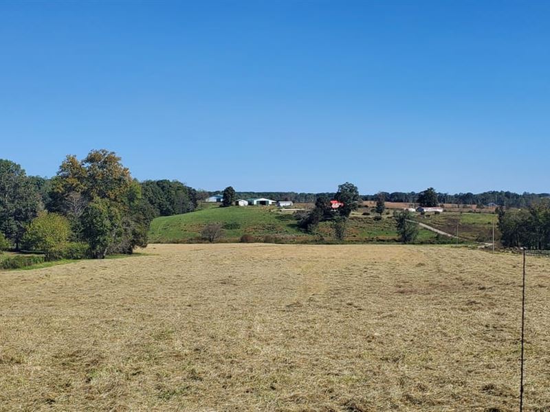 46.2Ac, 325 Chief Thomas Rd Ha : Harmony : Iredell County : North Carolina