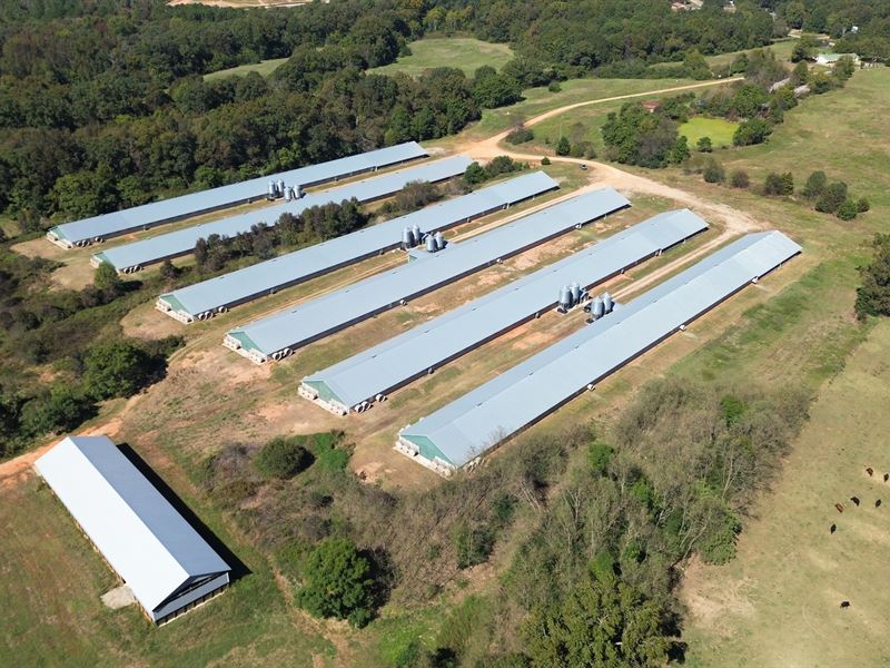 6 House Broiler Farm with 90 Acres : Hartwell : Hart County : Georgia