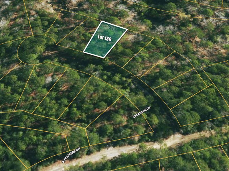 .2 Ac in Brookeland, TX : Browndell : Jasper County : Texas