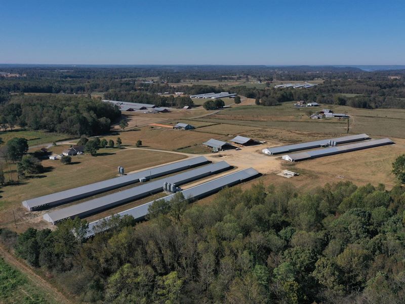 S/S Broiler Farm : Albertville : Marshall County : Alabama