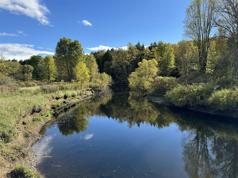 Curtiss Woods, Prime Riverfront : Camden : Oneida County : New York