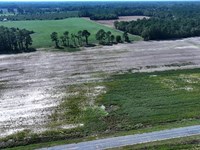 Large Residential Lot or Mini Farm : Fairmont : Robeson County : North Carolina