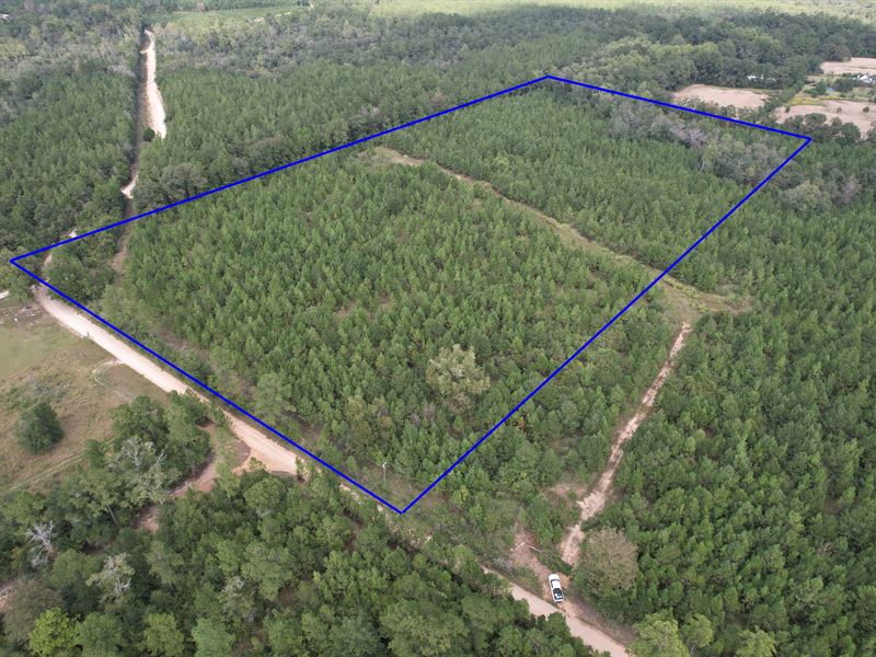 Howard Morris Rd 20 Acres : Wilmer : Mobile County : Alabama