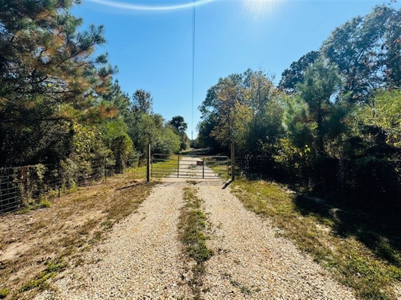 Small Cabin and 28 Acres / Tom Warn : Tylertown : Walthall County : Mississippi