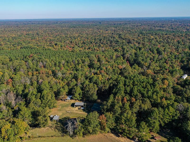 Holmes County Whitetails and Gobble : Lexington : Holmes County : Mississippi