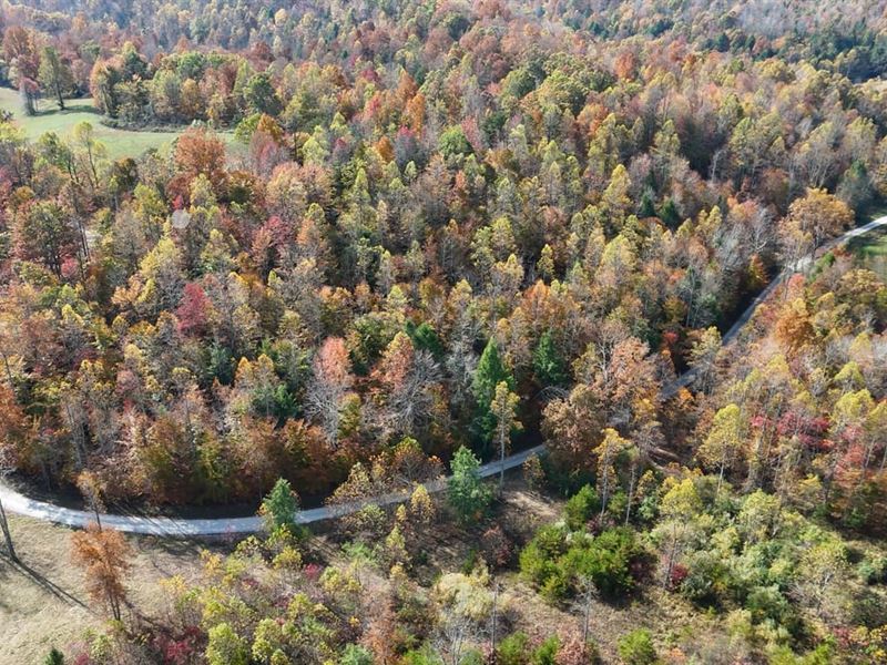 100 Acre Hunting Tract in Moreh : Morehead : Rowan County : Kentucky