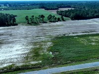 Estate Size Residential Lot Or Farm : Fairmont : Robeson County : North Carolina