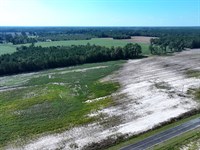 Large Residential Lot or Mini Farm : Fairmont : Robeson County : North Carolina