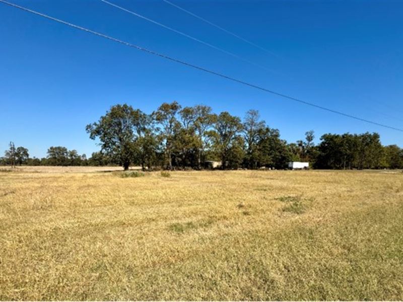 Lot 1 in Bolivar County in Bayou Co : Merigold : Bolivar County : Mississippi