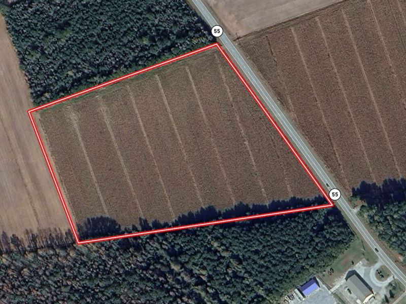 13.7 Acres of Agricultural Land : Merritt : Pamlico County : North Carolina