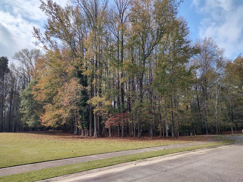 Corner Building Lot in Tree Shade : Washington : Beaufort County : North Carolina