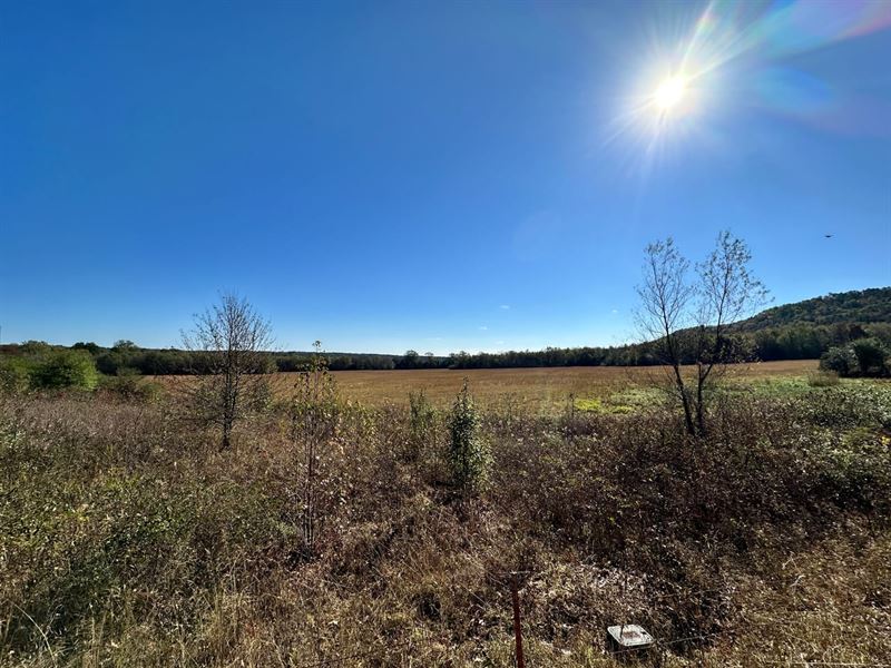 Peaceful Valley 89 : Dover : Pope County : Arkansas