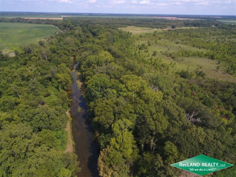 40 Ac Hunting Tract : Epps : West Carroll Parish : Louisiana