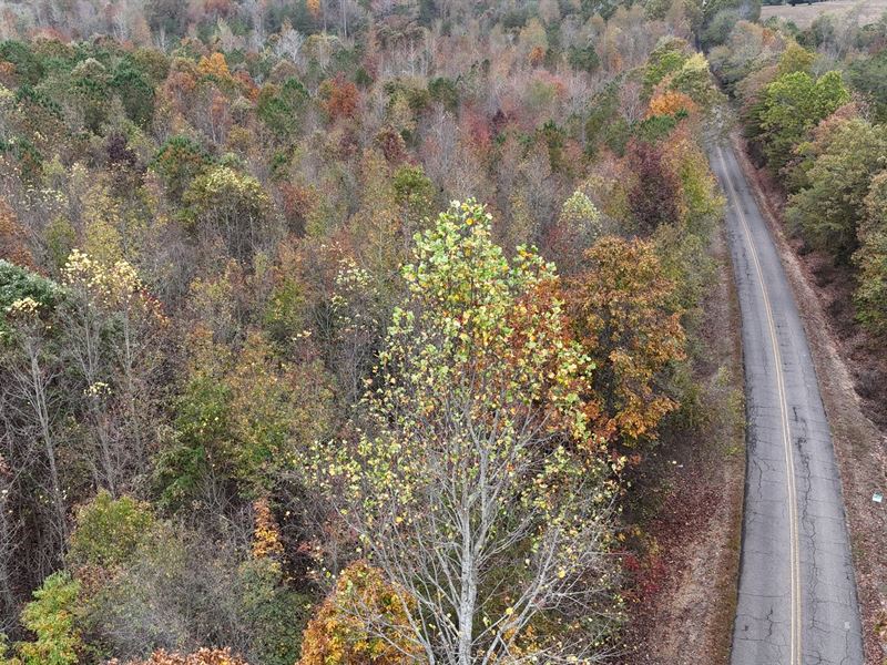 Jamestown Tract 4 : Gaylesville : Cherokee County : Alabama