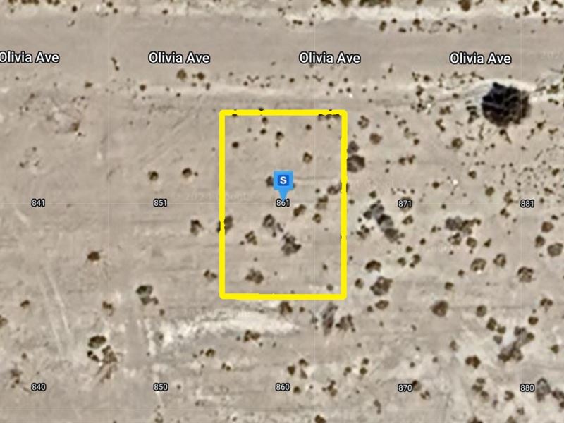 Land with Access, Only $360.54 Down : Pahrump : Nye County : Nevada