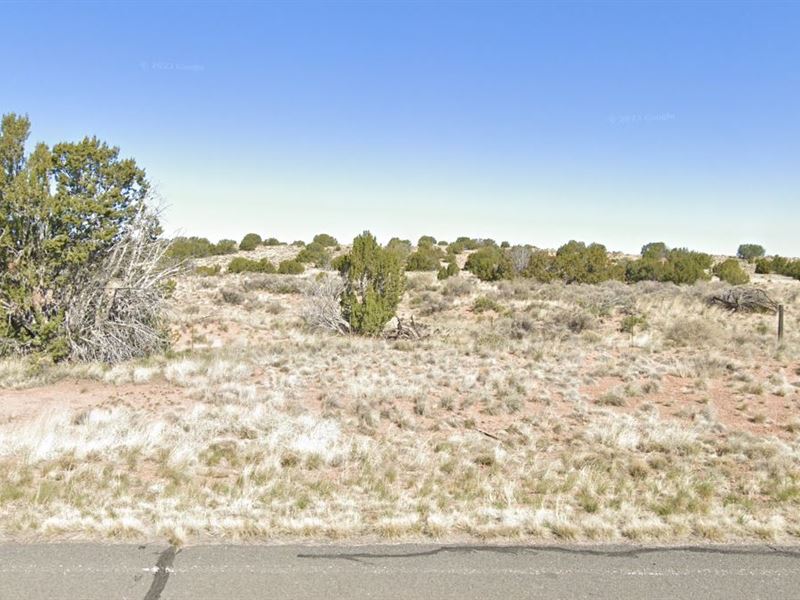 Sanders, AZ 1.24 Acres, $85/Mo : Sanders : Apache County : Arizona