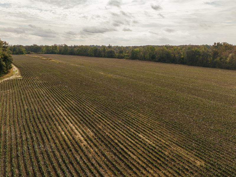 500.64 Acre Farm in Coahoma/Quitman : Jonestown : Coahoma County : Mississippi