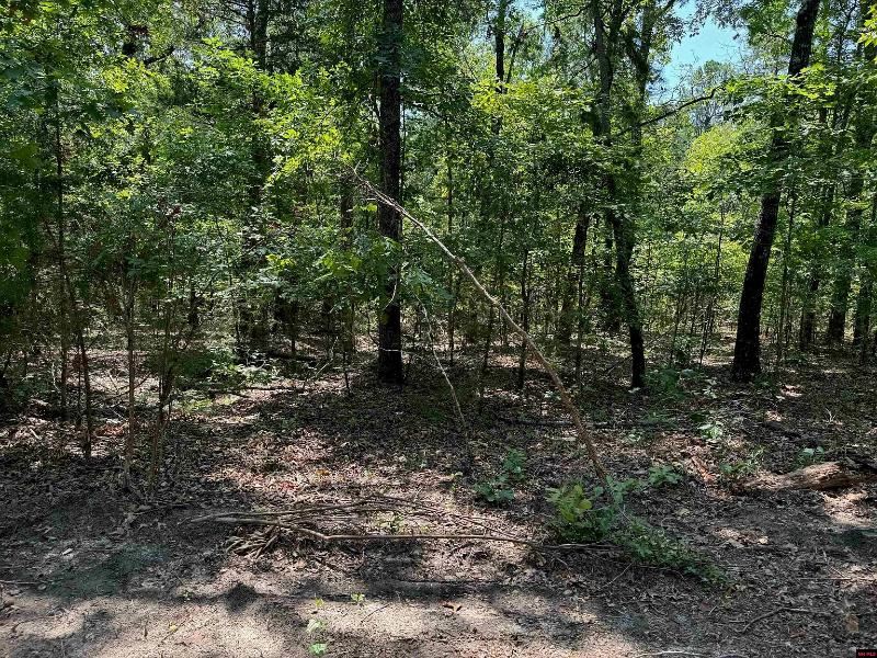 Secluded Corner Wooded Lot : Briarcliff : Baxter County : Arkansas