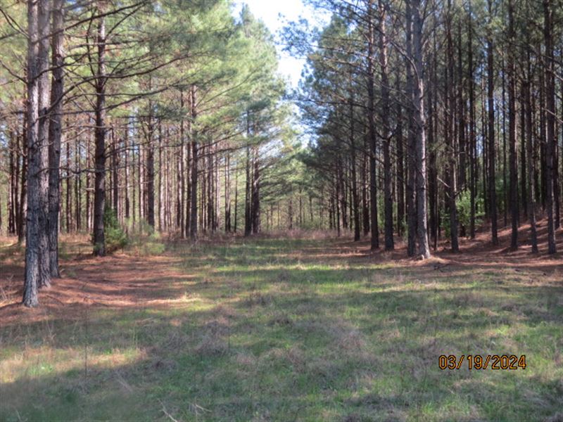 Investment-Grade Timberland : Aldridge : Walker County : Alabama