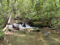 Whitecliff Drive, 67.48 Acres : Ellijay : Gilmer County : Georgia