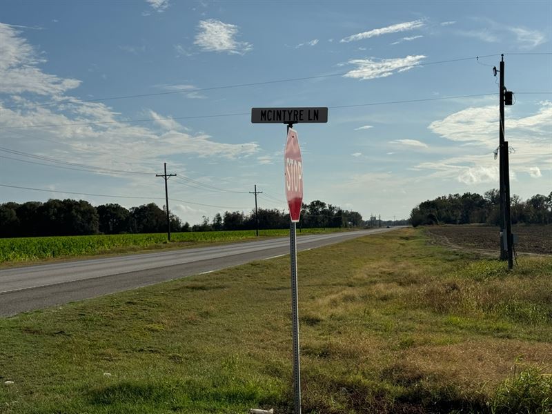 La, Franklin 280 Acres : Delhi : Franklin Parish : Louisiana