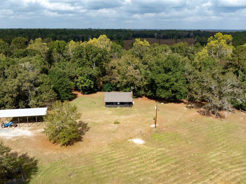 Hawkinsville Cabin and Pasture : Hawkinsville : Pulaski County : Georgia