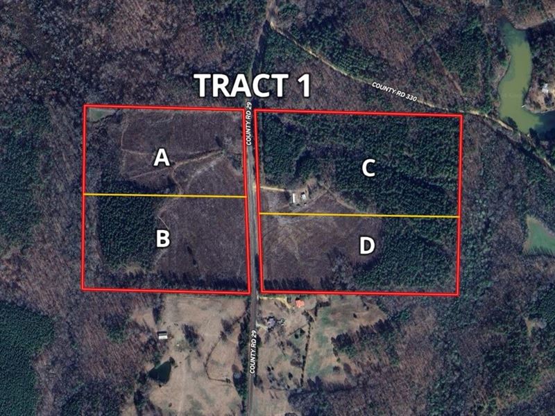 Marion County Homesite Tract 1A : Hamilton : Marion County : Alabama