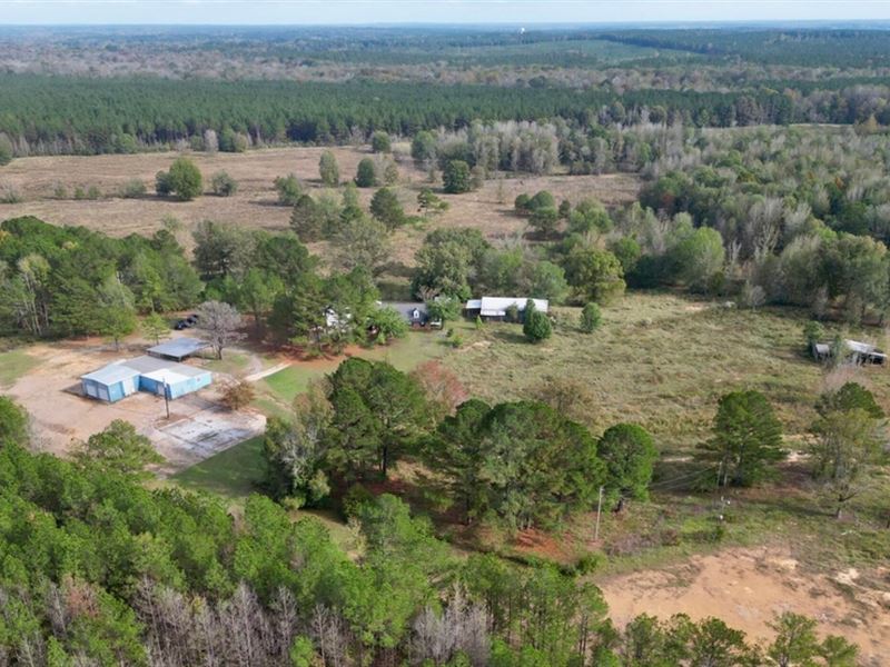 90 Acres with A Home in Attala/Choc : McCool : Attala County : Mississippi