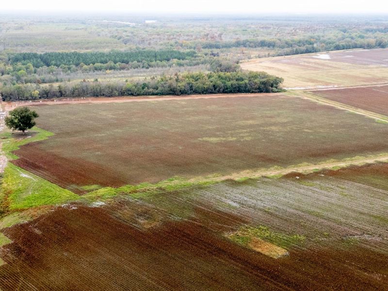 Biscoe Farm : Biscoe : Prairie County : Arkansas