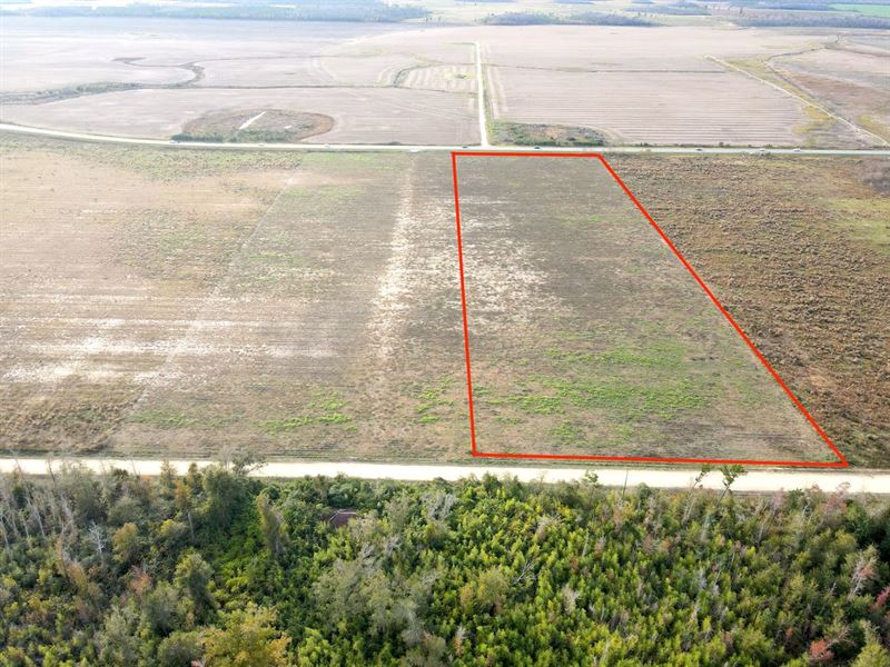 10.12 Acre Vacant Land Lot 1 : Kinard : Calhoun County : Florida