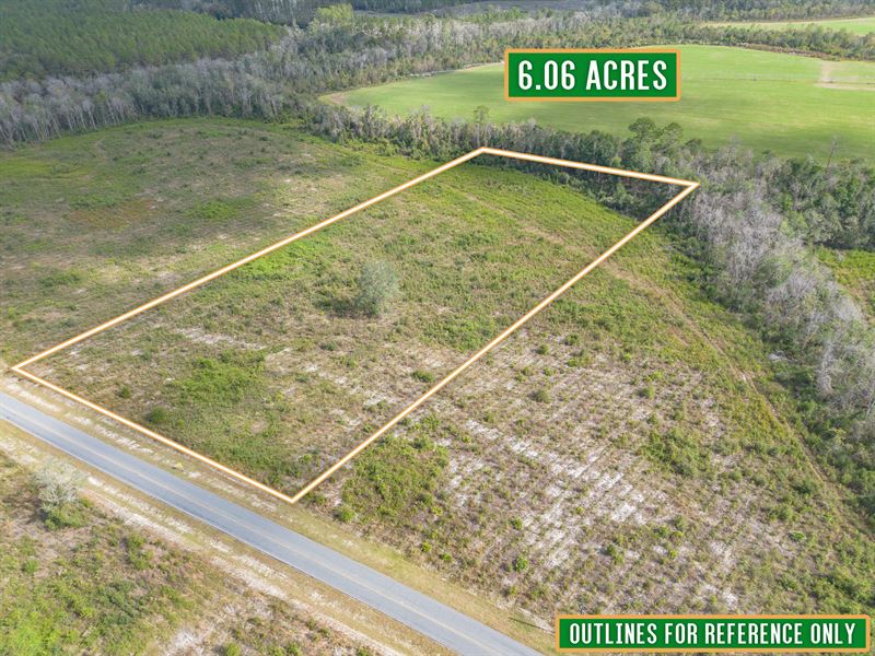 Tract 4 6.061 Acres Saddleclub Rd : Hoboken : Brantley County : Georgia