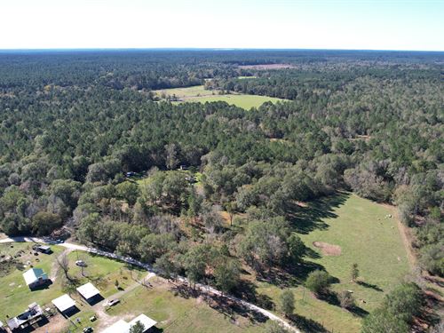 Trinity County Texas Hobby Land for Sale by Owner (FSBO) : LANDFLIP